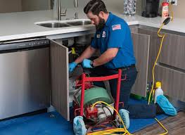 Best Garbage Disposal Repair and Installation  in Hermann, MO